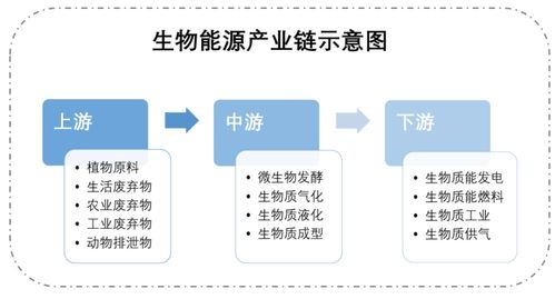 合成生物技術(shù)多維賦能能源領(lǐng)域 專(zhuān)訪合成生物學(xué)競(jìng)賽評(píng)委呂雪峰